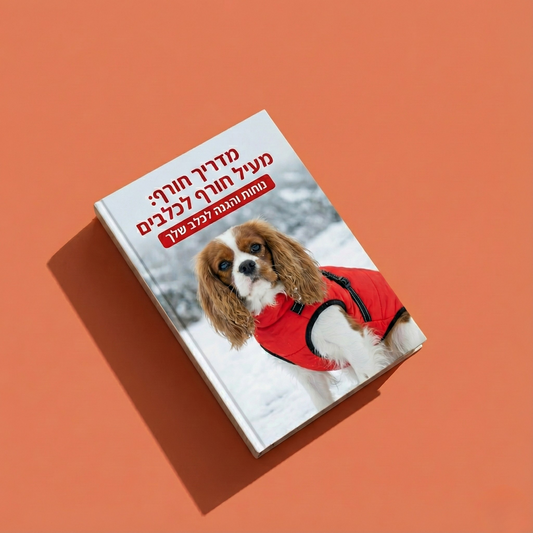 מדריך החורף המלא לבעל כלב - ספר דיגיטלי