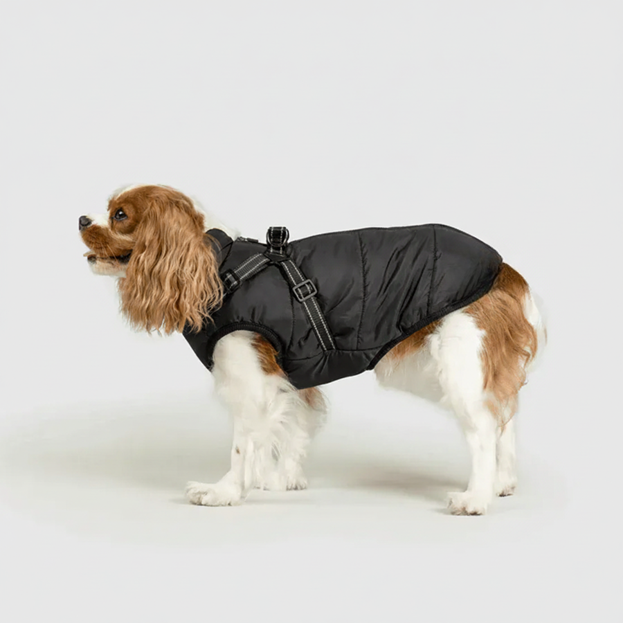 מעיל החורף לכלבים של לאביון