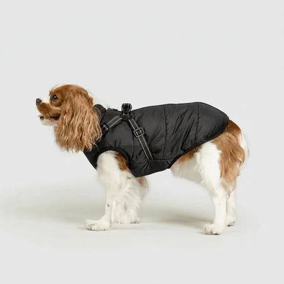 מעיל החורף לכלבים של לאביון
